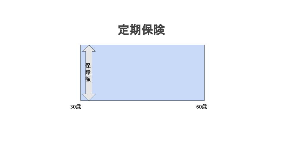 定期保険の説明